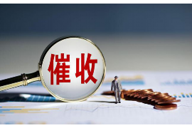 柳南专业要账公司如何查找老赖？